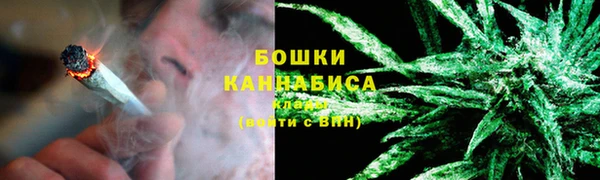 винт Богданович